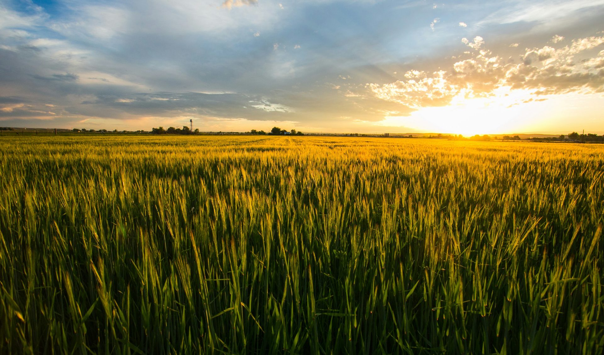 Chambres d’agriculture
